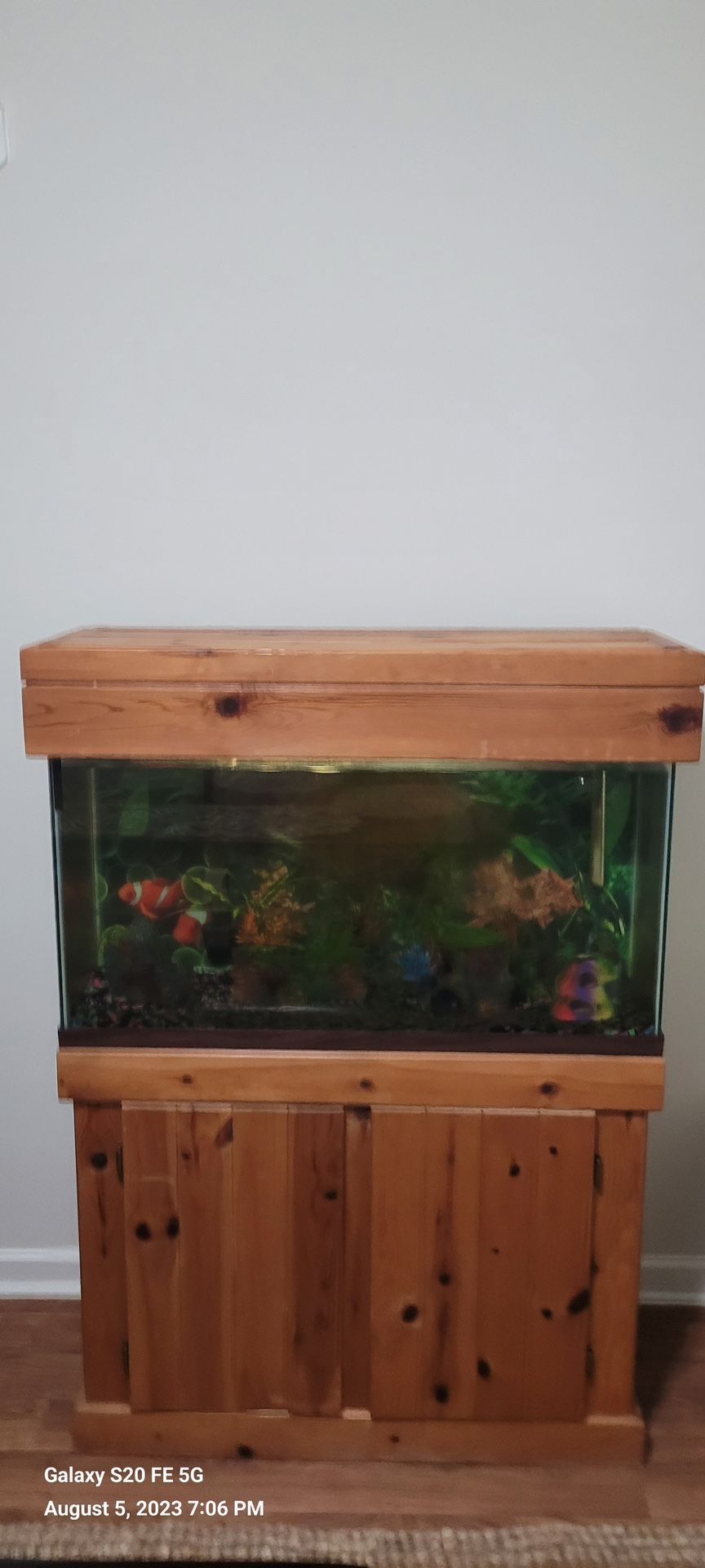 55gal Glass Fish tank