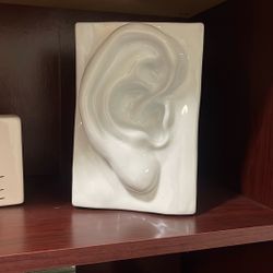 Ear Sculpture White 