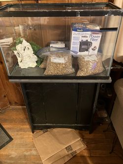 Fish Tank