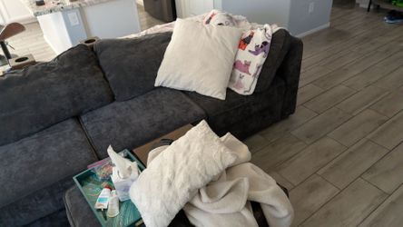 Lovesac Sectional Sofa