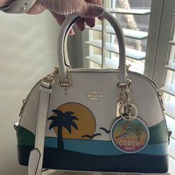 Coach Purse With Wallet 