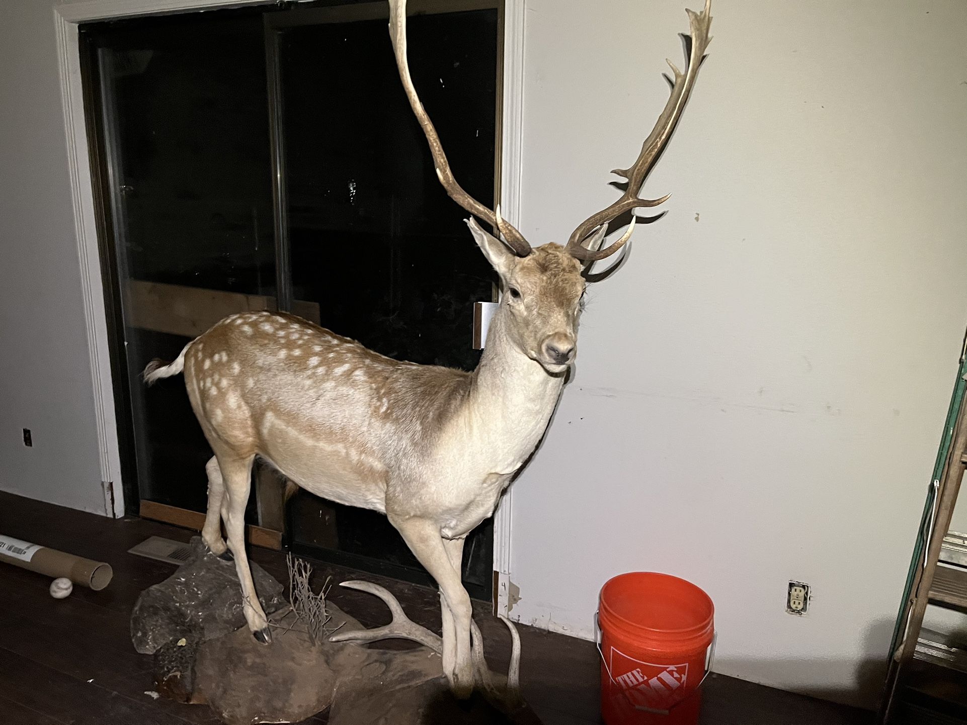 Full Stuffed Deer