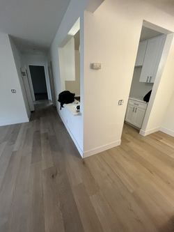 VINLY SPC FLOORING SALE LVT WOC LAMINATE FLOORS &1.39