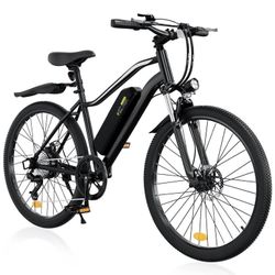 Electric Bike