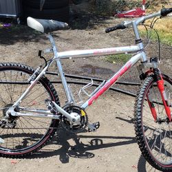 Pacific Elite SX Mountain Bike 