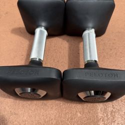 20.lbs X 2 Dumbbell Set