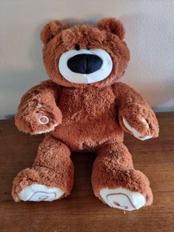 Luv'n Learn Interactive Teddy Bear Plush (I Couldn't Connect, I Don't Know If It's Works)  