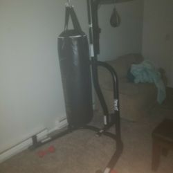 Everlast 2 Bag Station 