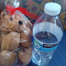 Teddy Bear For $3