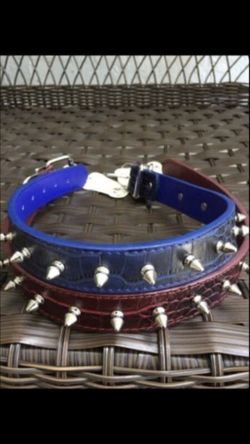 Spiked Dog 🐶 Collar!
