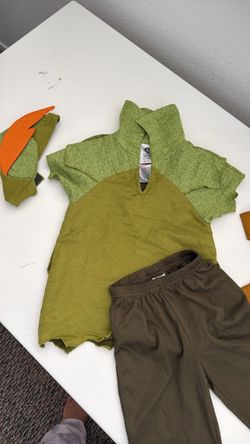 Boys Peter Pan costume