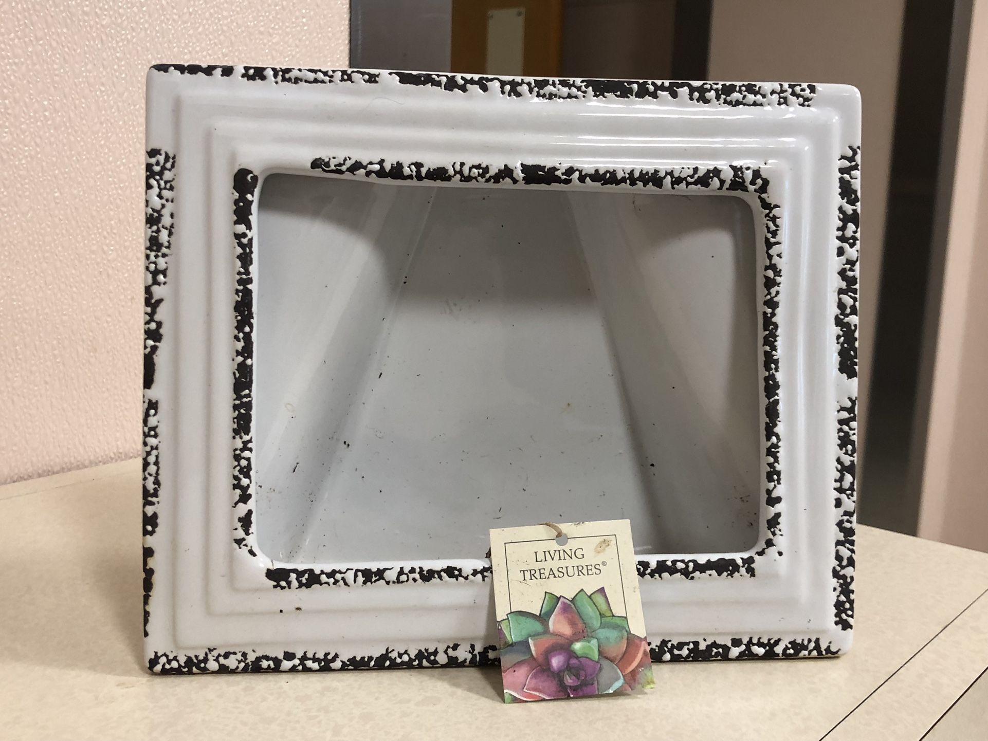 Garden Succulent Decor Frame