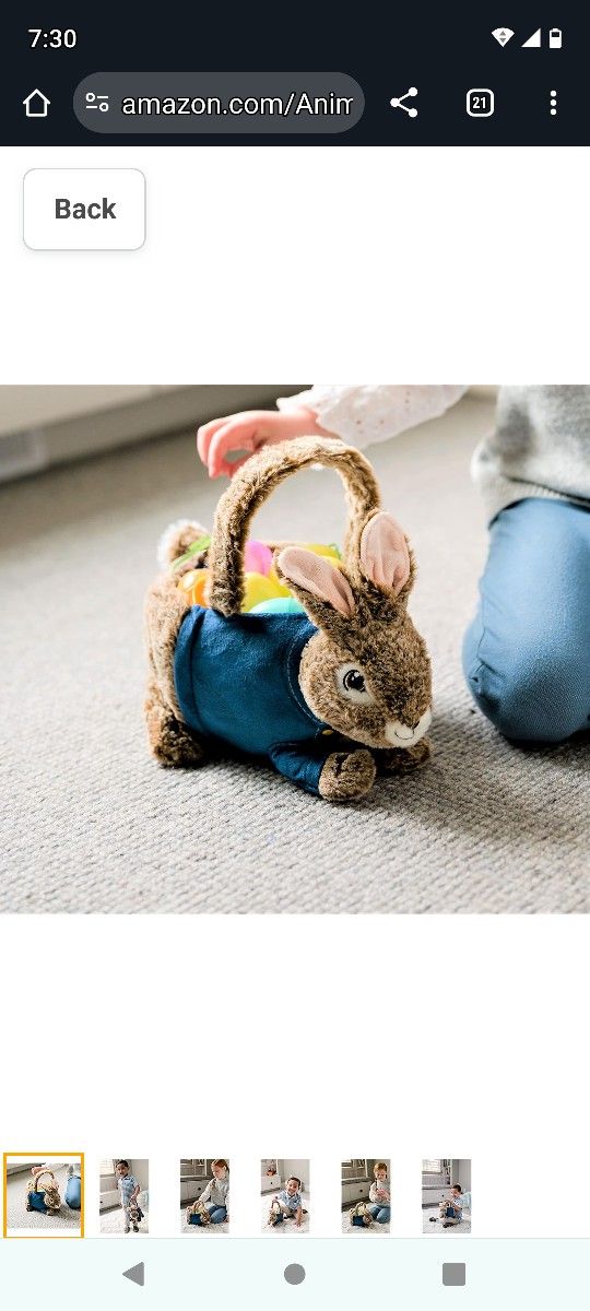 NWT Peter Rabbit Plush Easter Basket