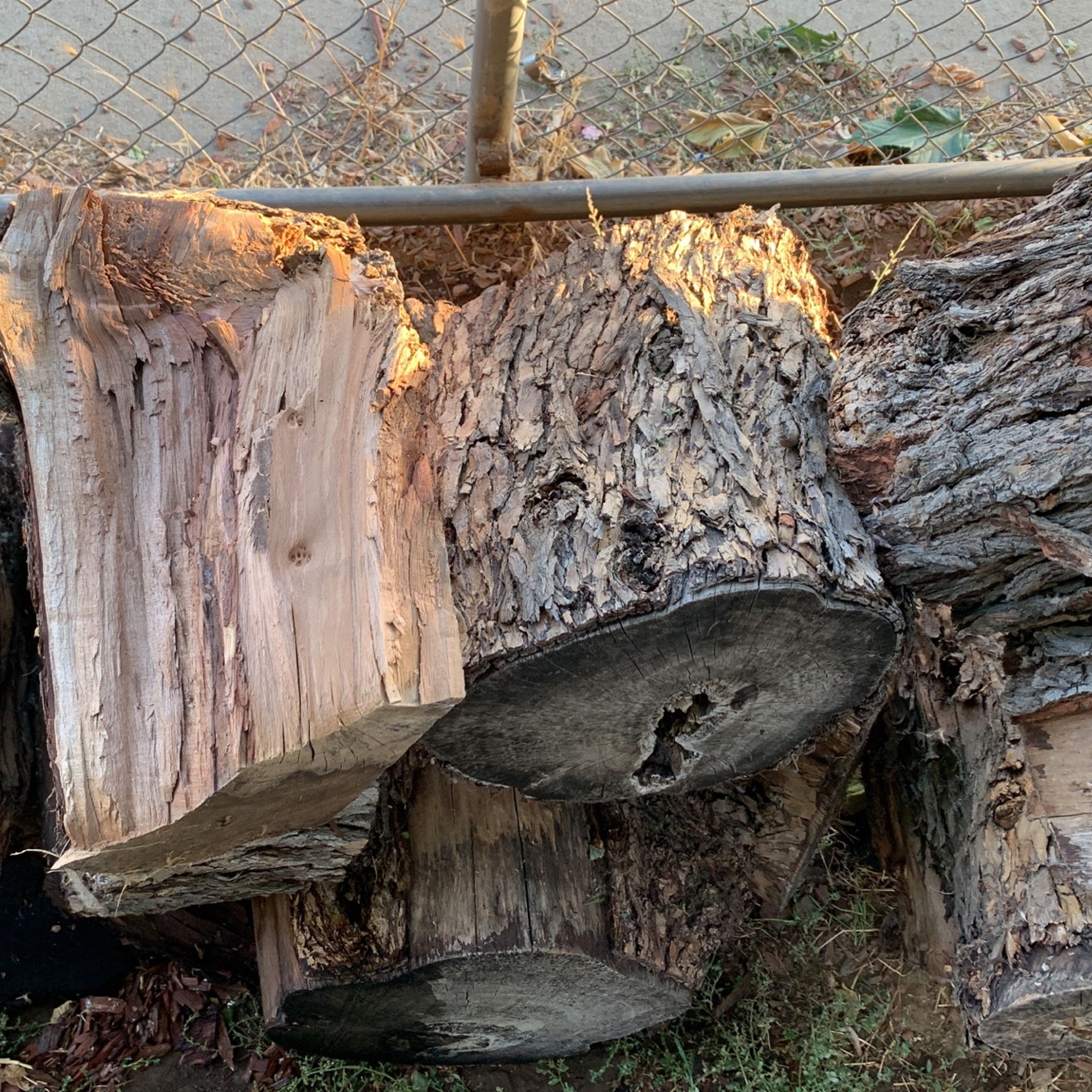 Firewood