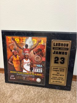LeBron James mvp 2008-2009 season plaque