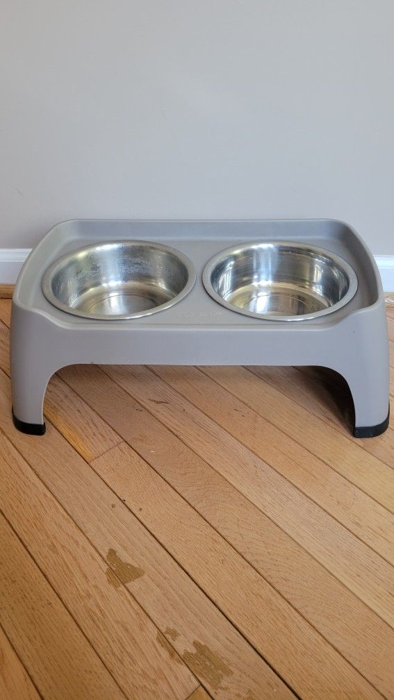 Dog Bowl
