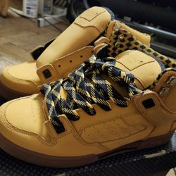 DVS Militia Snow Boot size 9. Canada edition