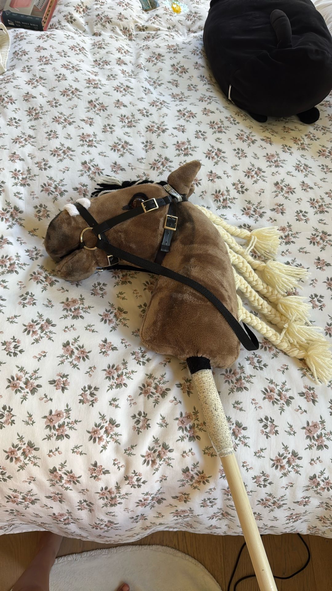 Hobby Horse