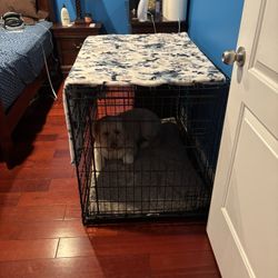 Dog Wire Crate