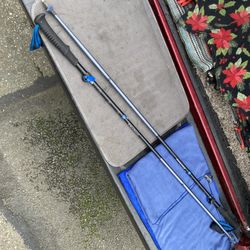 Black Diamond FLZ Trekking Poles 