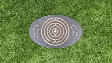 Labyrinth Balance Board