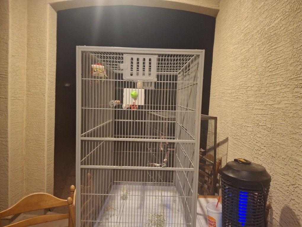 Free Bird Cages Still In Good Condition Just Bought New Ones