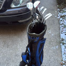 Nickent 3DX Iron & Hybrid Set (4H–5H, 6–10)