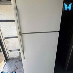 🦋🦋free Delivery🦋🦋