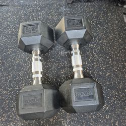 Rogue 25LBS Dumbells Weights