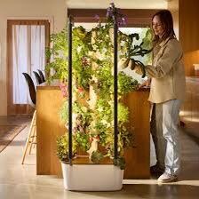 Gardyn 4.0 Hydroponics Growth System 