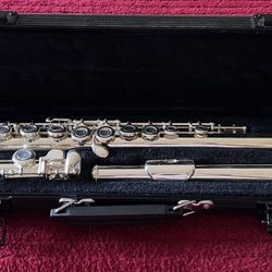 Stagg WS- FL231 silver plated flute with carry case in excellent condition. $85