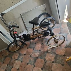 Three-wheeler Bike