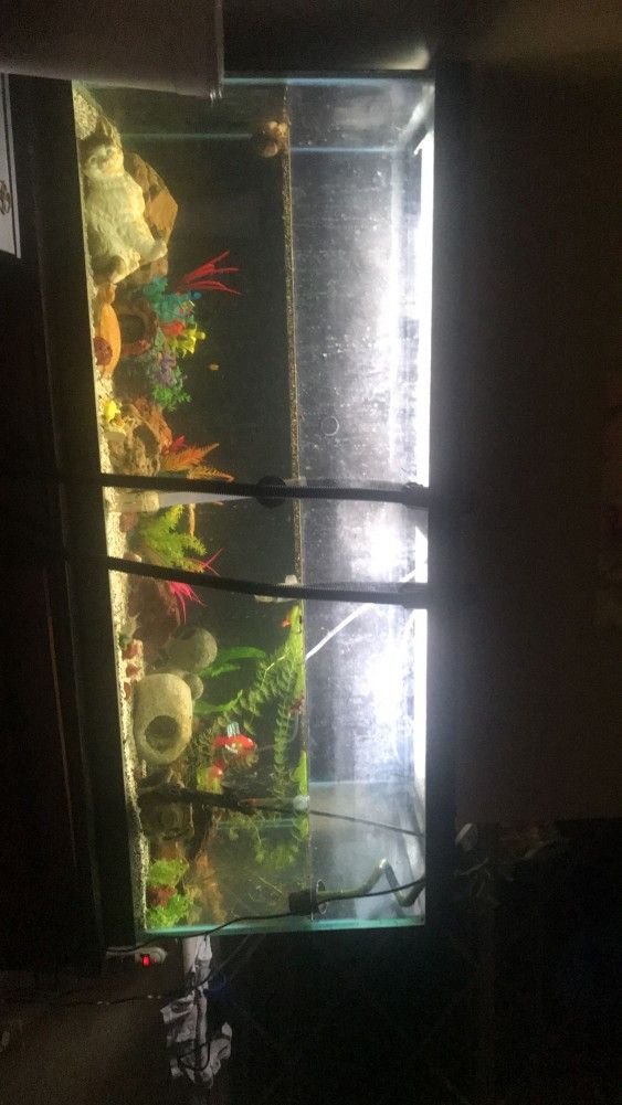 75 Gallon Tank w/stand And Other Accessories