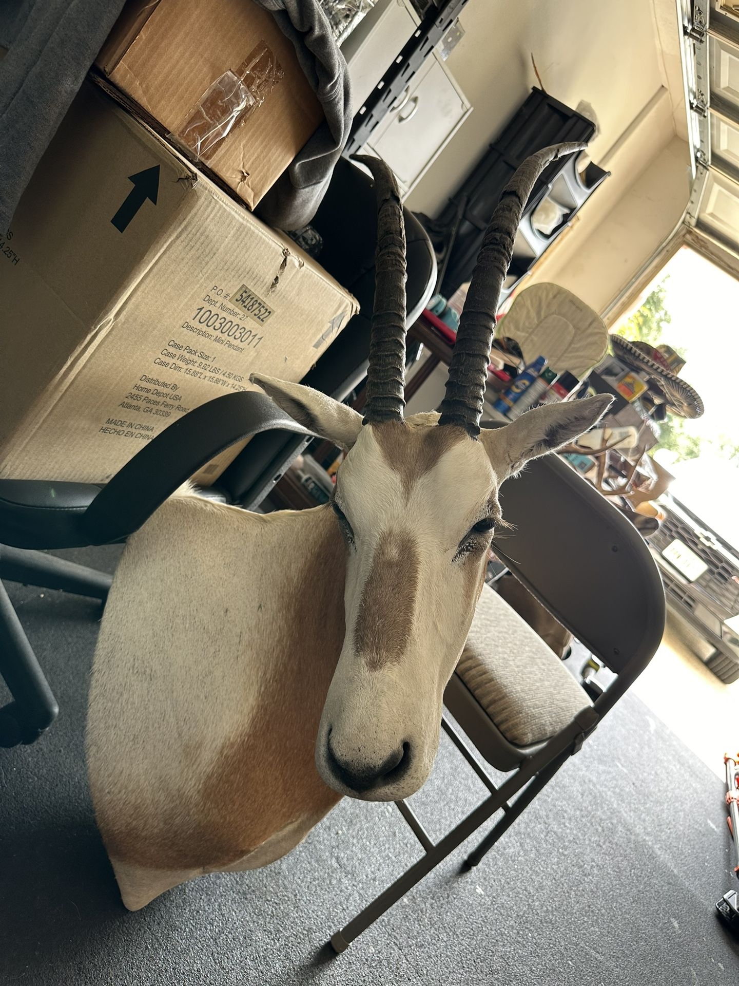 Oryx Mount