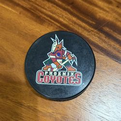 Phoenix Coyotes Hockey Puck
