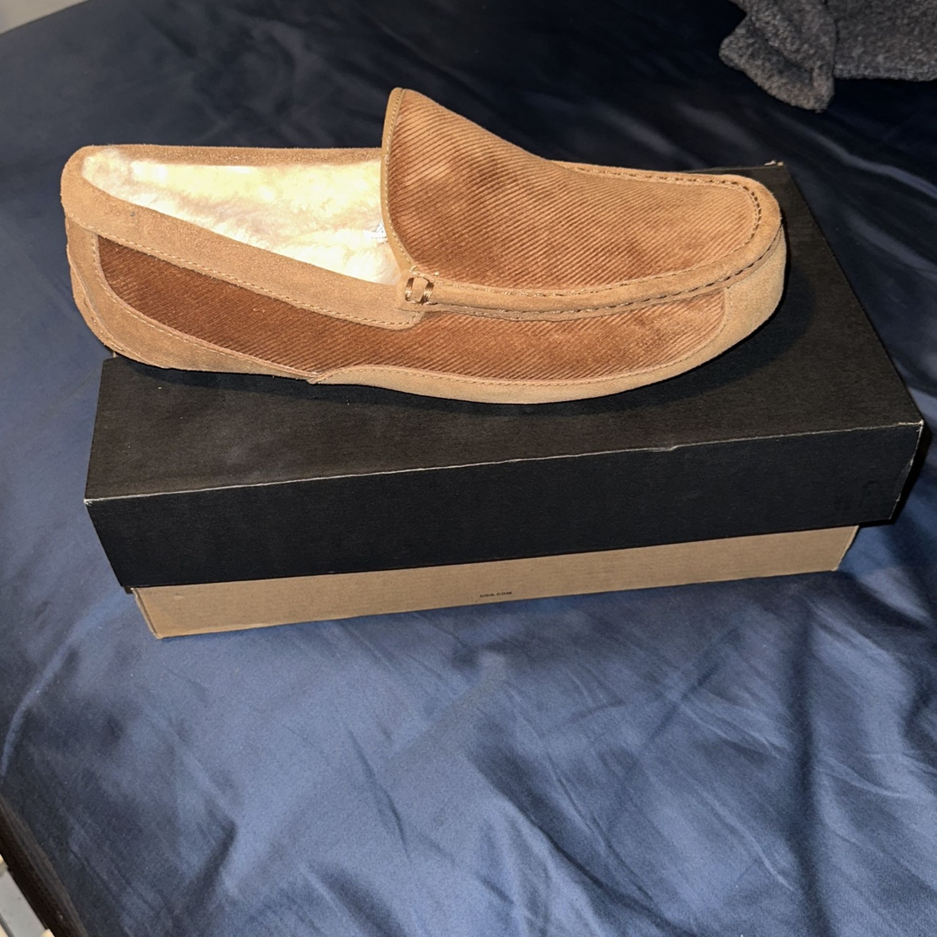 M Ascot Cordurory ll