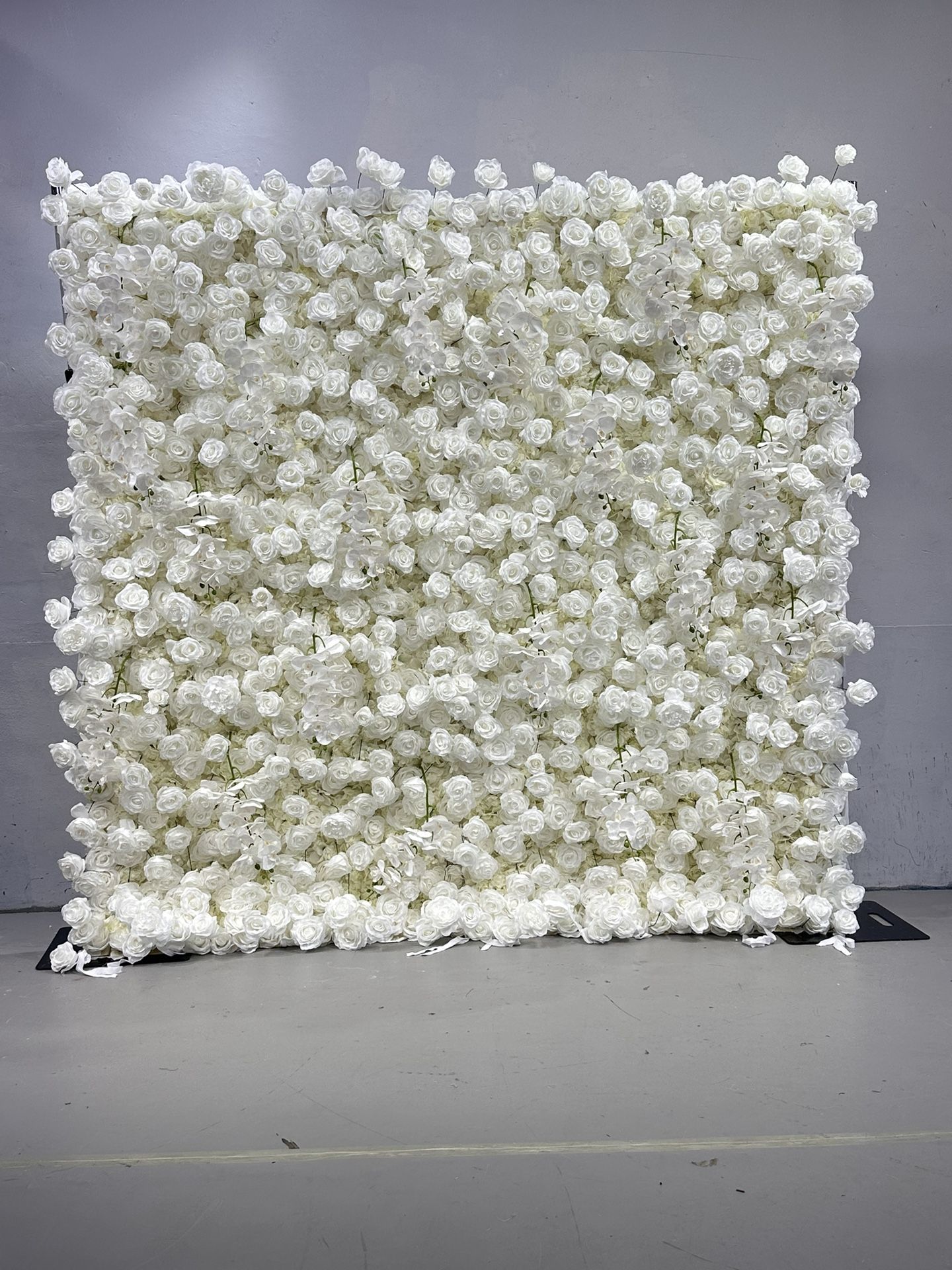 8x8ft White Roses Flower Wall 