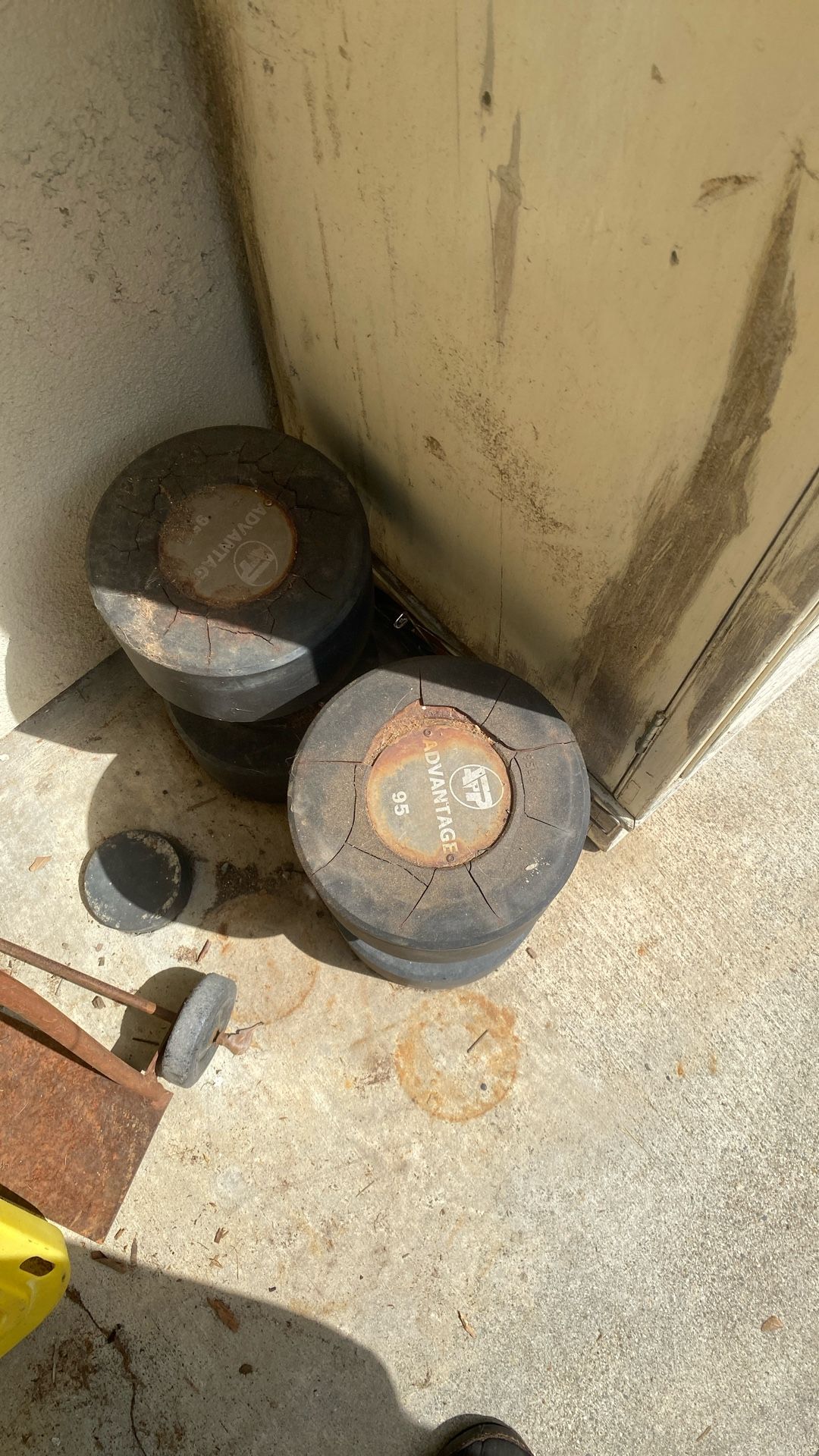 Two 95lb dumbbells 