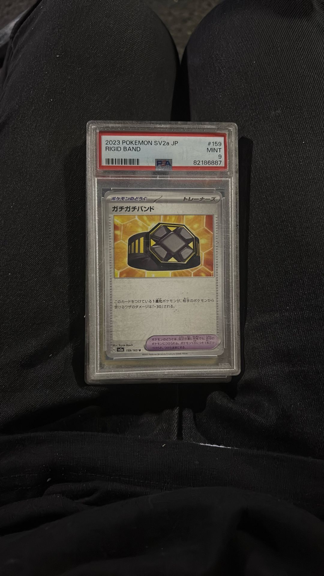 Pokémon SV2a JP RIGID BRAND