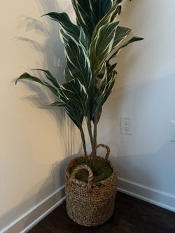 Fake Plant