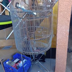 Bird Cage