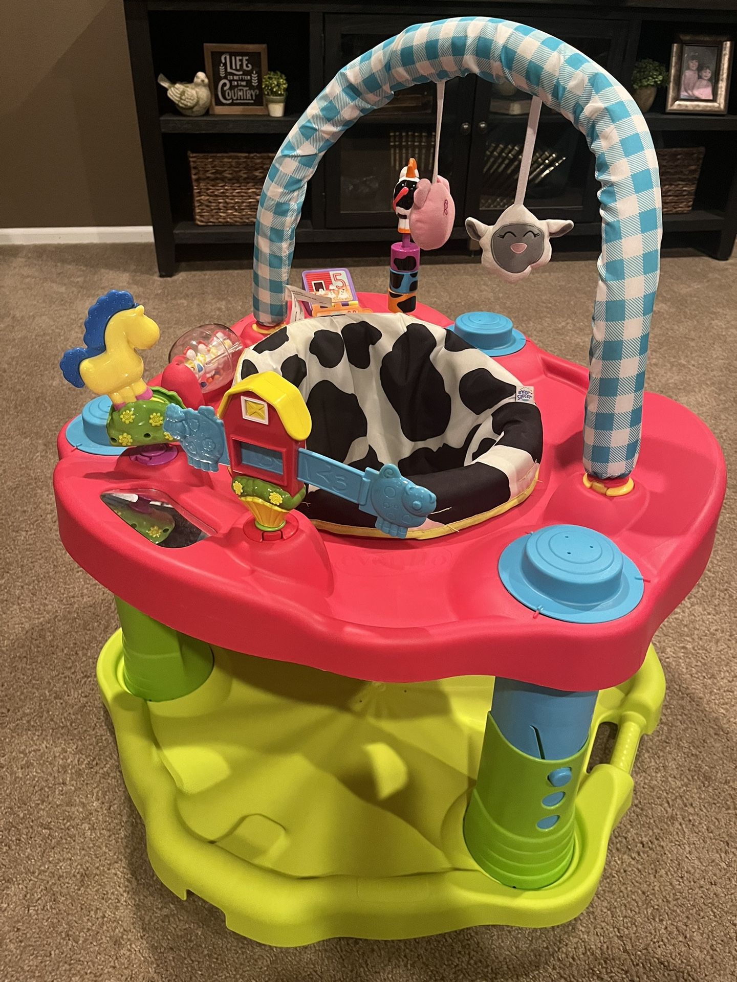 Farm Baby Activity Center