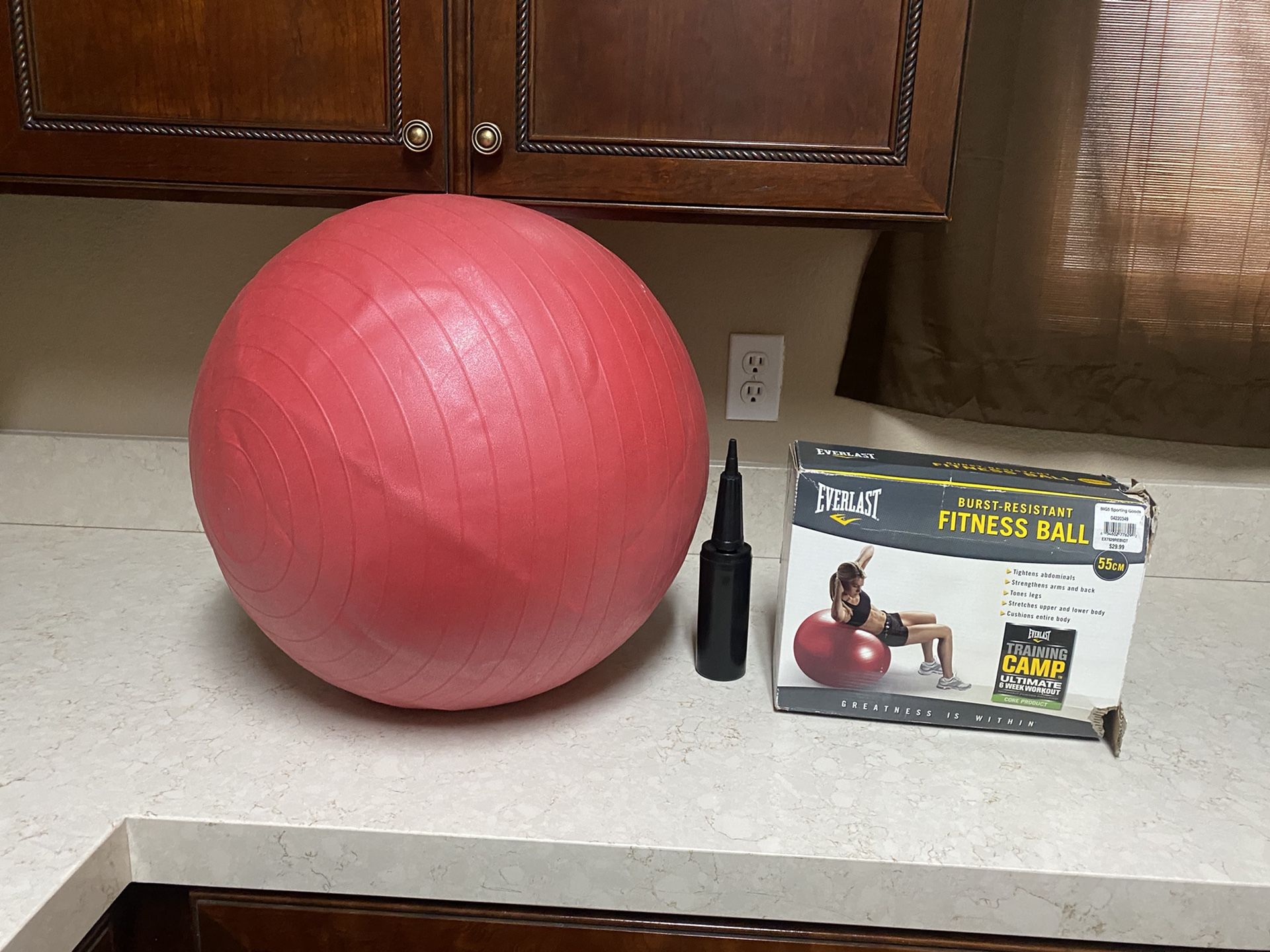 Everlast Fitness Ball 