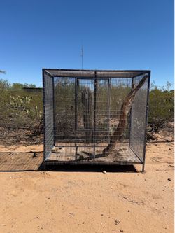Extra large cage