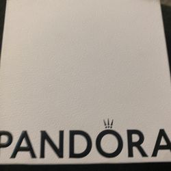 Brand New Pandora Necklace 