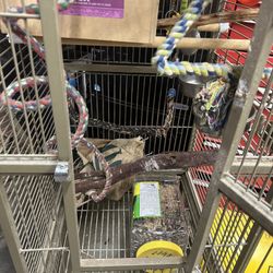 Bird Parrot Cage 