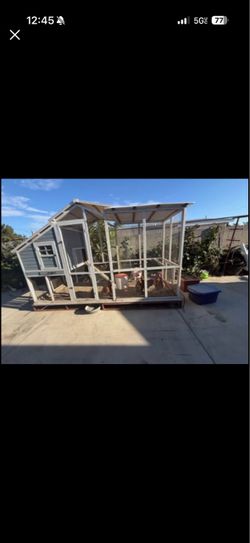 Large Chicken Coop