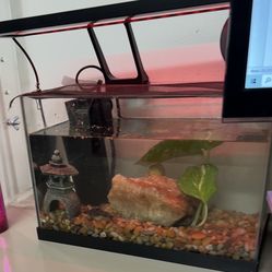 Free Fish Tank As Is 