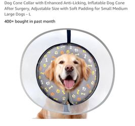 Dog Cone