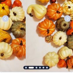 30 Rustic Grubs 